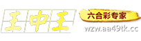 王中王